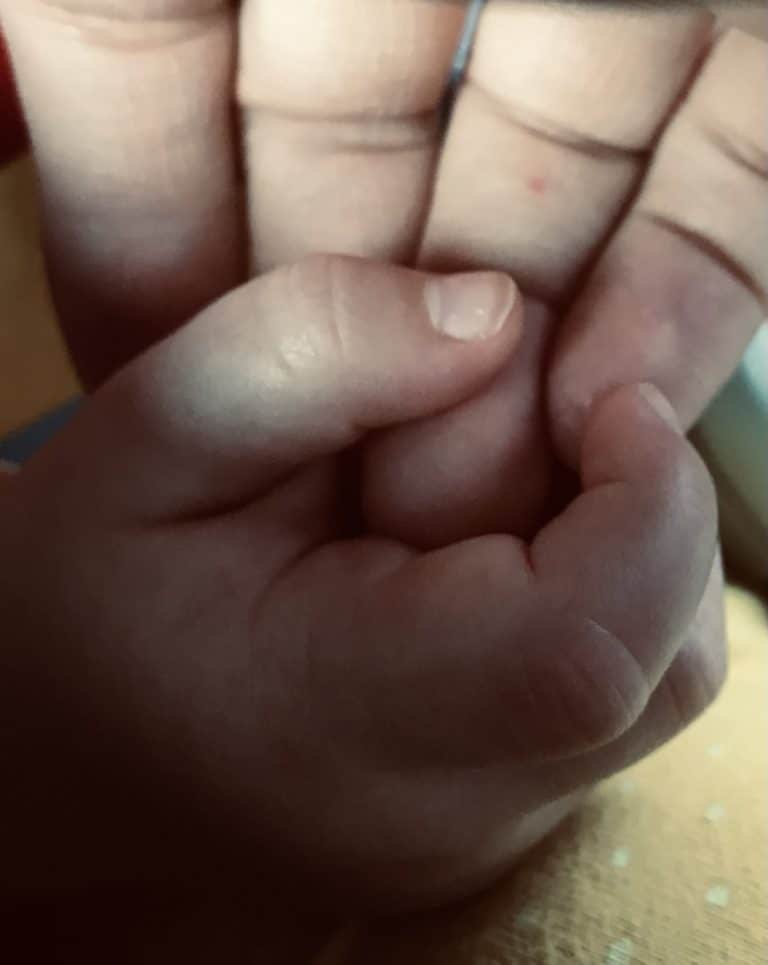 mom and baby hands photo